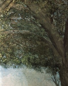 Décoration de la salle des Asse au château des Sforza - Leonardo da Vinci